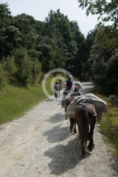 The Ride to Boundary Hut From Hunter Valley Station
