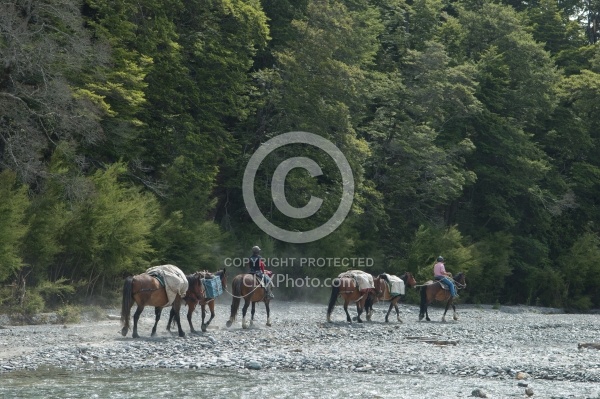 The Ride to Boundary Hut From Hunter Valley Station