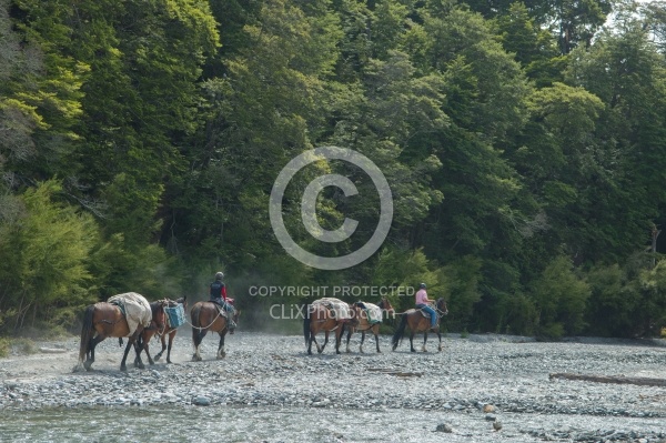 The Ride to Boundary Hut From Hunter Valley Station