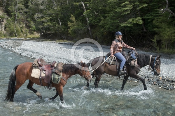 The Ride to Boundary Hut From Hunter Valley Station