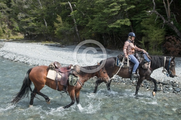 The Ride to Boundary Hut From Hunter Valley Station