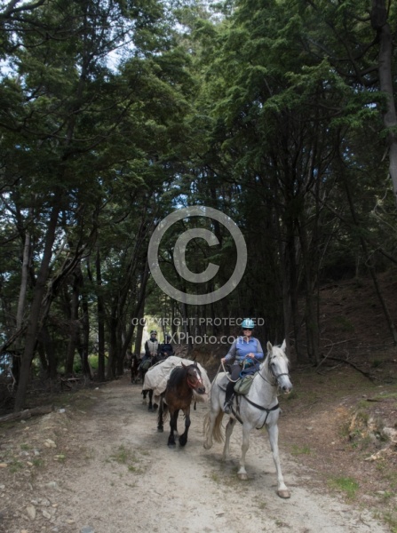 The Ride to Boundary Hut From Hunter Valley Station