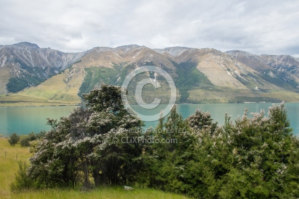 The Ride to Boundary Hut From Hunter Valley Station