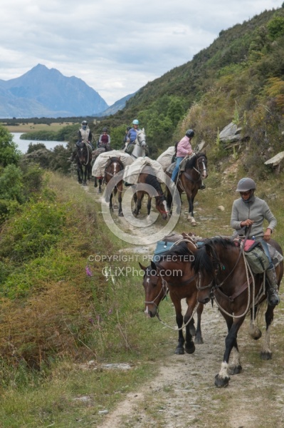 The Ride to Boundary Hut From Hunter Valley Station