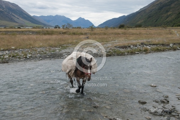The Ride to Boundary Hut From Hunter Valley Station