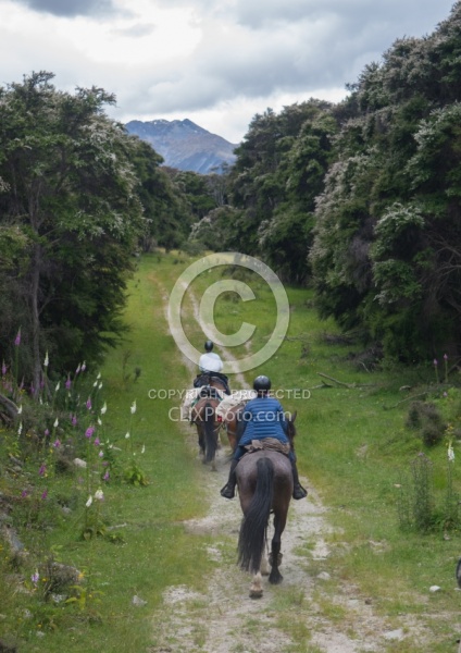 The Ride to Boundary Hut From Hunter Valley Station