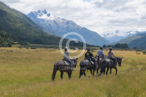 The Day Ride From Boundary Hut, Wild Womens Expeditions with Adventure Horse Trekking New Zealand