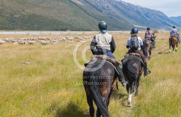 Day Ride From Boundary Hut, Wild Womens Expeditions with Adventure Horse Trekking New Zealand