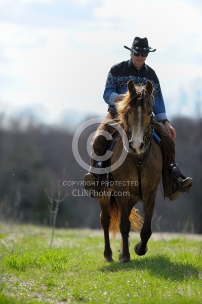 Tennessee Walker Ridden
