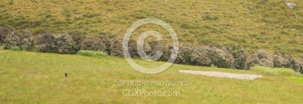 Dingleburn Station on the Land of the Long White Cloud Ride with Wild Womens Expeditions and Adventure Horse Trekking New Zealand