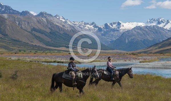 Riding in Ahuriri Conservation Area New Zealand , Wild Women Expeditions with Adventure Horse Trekking New Zealand 