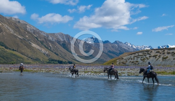 River Crossing in Ahuriri Conservation Area New Zealand , Wild Women Expeditions with Adventure Horse Trekking New Zealand 
