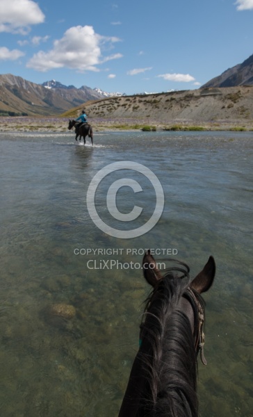 River Crossing in Ahuriri Conservation Area New Zealand , Wild Women Expeditions with Adventure Horse Trekking New Zealand 