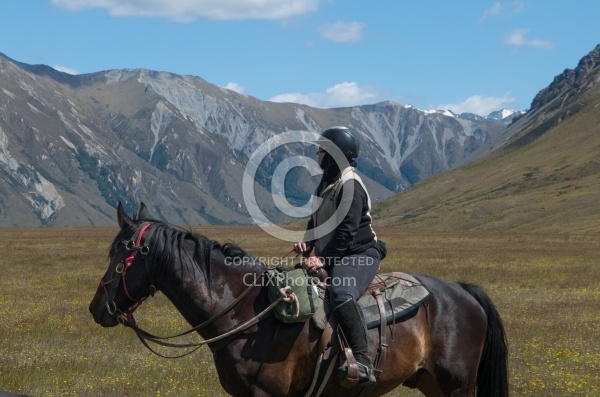 Riding in Ahuriri Conservation Area New Zealand , Wild Women Expeditions with Adventure Horse Trekking New Zealand 