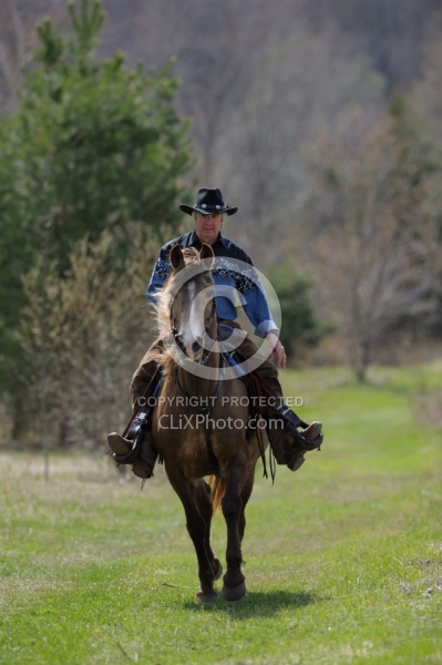 Tennessee Walker Ridden