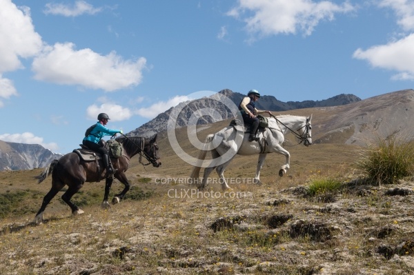 Heading Up the Mountain in Ahuriri Conservation Area New Zealand , Wild Women Expeditions with Adventure Horse Trekking New Zealand 