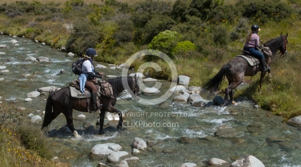 River Crossing in Ahuriri Conservation Area New Zealand , Wild Women Expeditions with Adventure Horse Trekking New Zealand 
