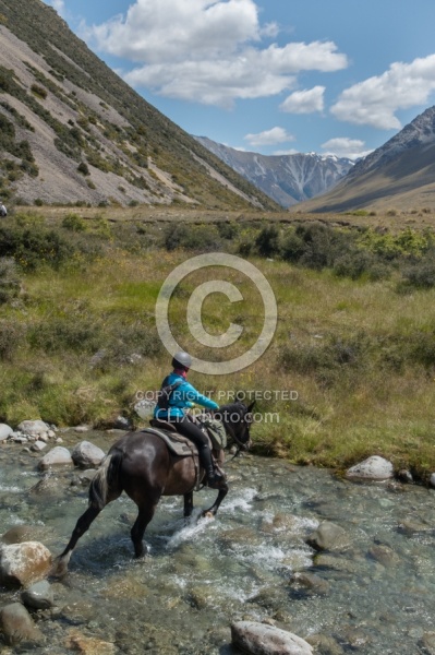 River Crossing in Ahuriri Conservation Area New Zealand , Wild Women Expeditions with Adventure Horse Trekking New Zealand 