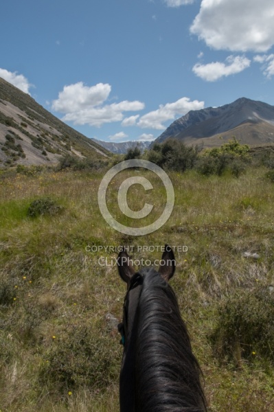 Ahuriri Conservation Area New Zealand , Wild Women Expeditions with Adventure Horse Trekking New Zealand 