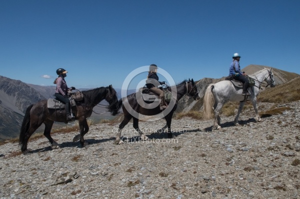 Riding in Ahuriri Conservations Area with Wild Women Expeditions and Adventure Horse Trekking New Zealand