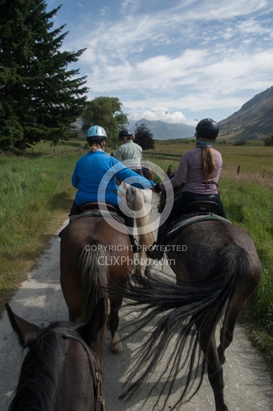 Riding in Ahuriri Conservations Area with Wild Women Expeditions and Adventure Horse Trekking New Zealand