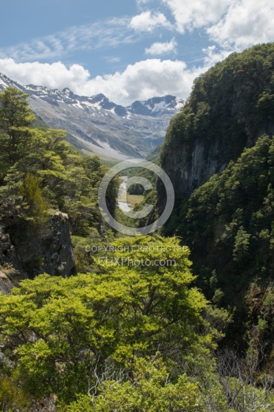 Riding in Ahuriri Conservations Area with Wild Women Expeditions and Adventure Horse Trekking New Zealand