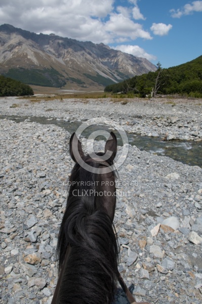 Riding in Ahuriri Conservations Area with Wild Women Expeditions and Adventure Horse Trekking New Zealand