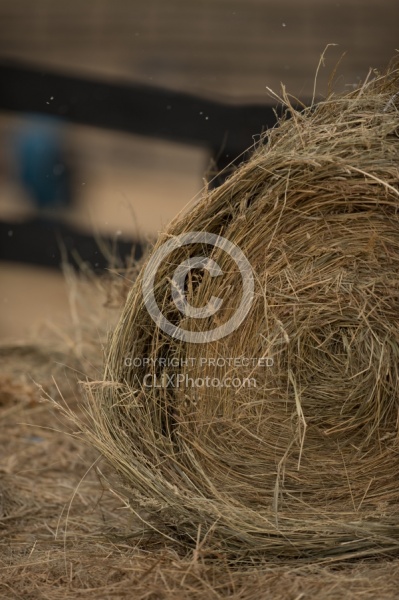 Round Bales of Hay
