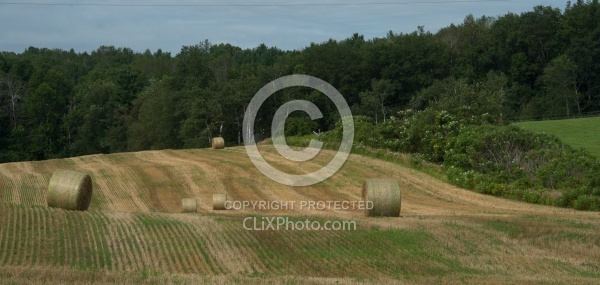 Round Bales of Hay