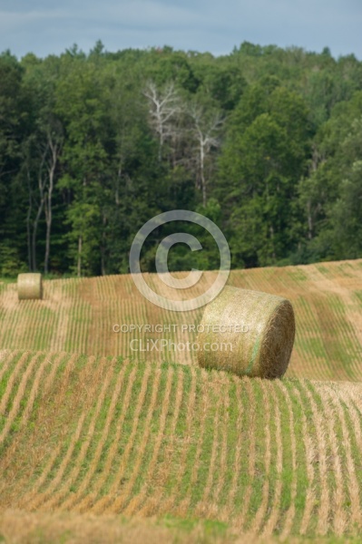 Round Bales of Hay