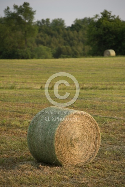 Round Bales of Hay