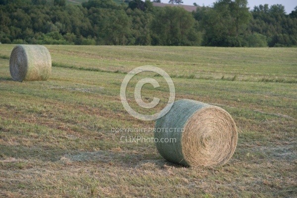 Round Bales of Hay