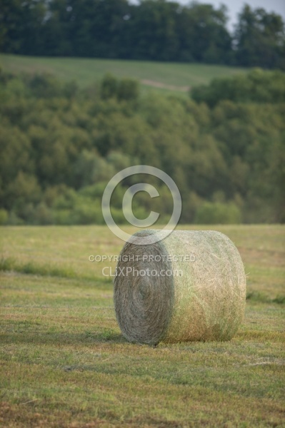 Round Bales of Hay