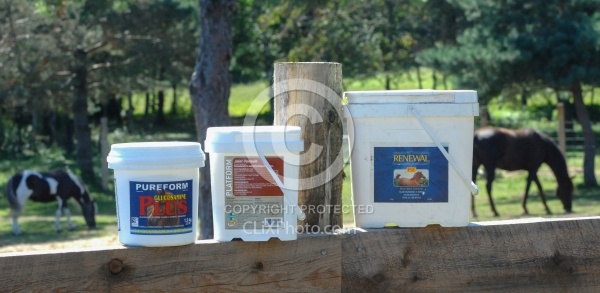 Joint Supplements Joint Supplements