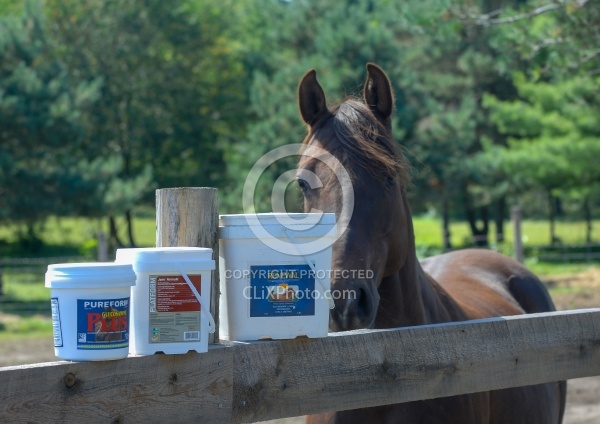 Joint Supplements Joint Supplements