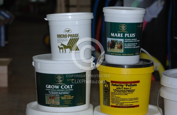 Mare and Foal Supplements