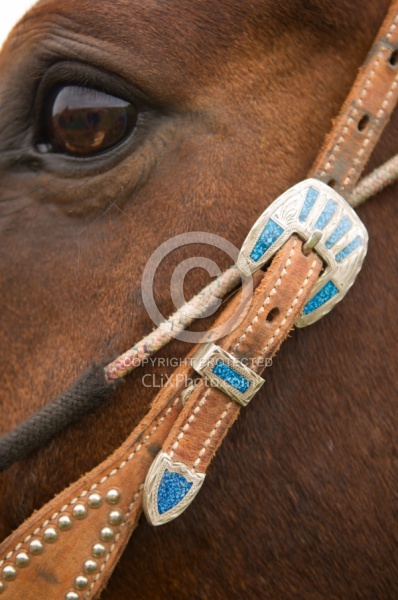 Western Bridle with Bit