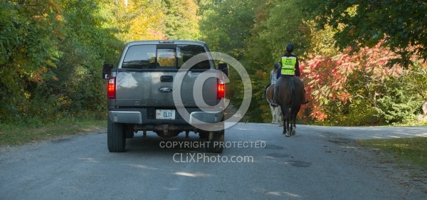 Encountering Cars While Riding on the Road