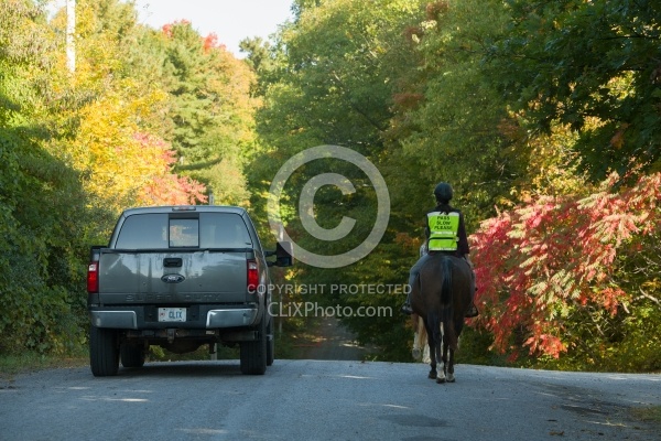 Encountering Cars While Riding on the Road