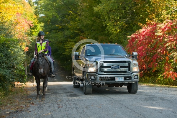 Encountering Cars While Riding on the Road