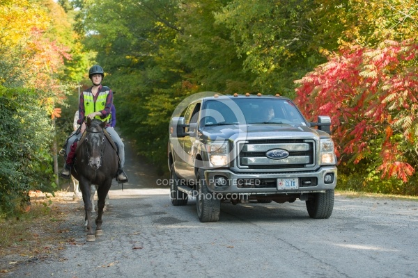 Encountering Cars While Riding on the Road