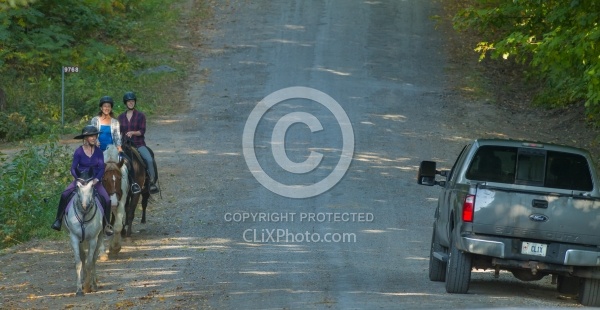 Encountering Cars While Riding on the Road