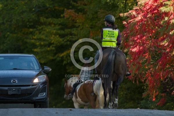 Encountering Cars While Riding on the Road