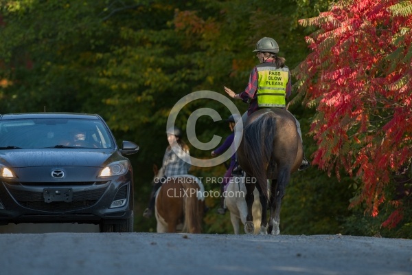Encountering Cars While Riding on the Road