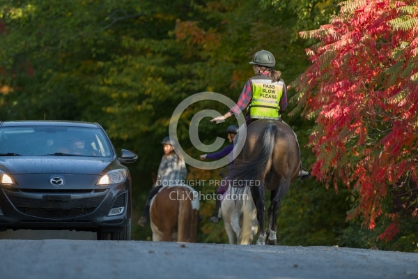 Encountering Cars While Riding on the Road