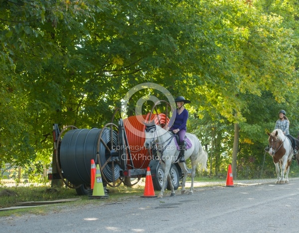 Encounters While Road Riding Riding on the Road