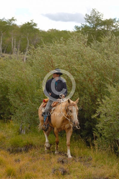 On The Trail In Wyoming with Blue Sky Sage