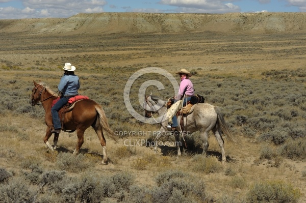 On The Trail In Wyoming with Blue Sky Sage