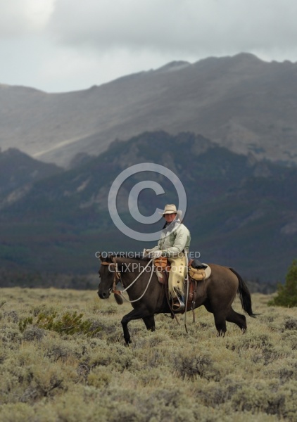On The Trail In Wyoming with Blue Sky Sage