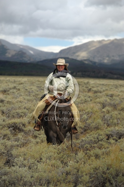 On The Trail In Wyoming with Blue Sky Sage